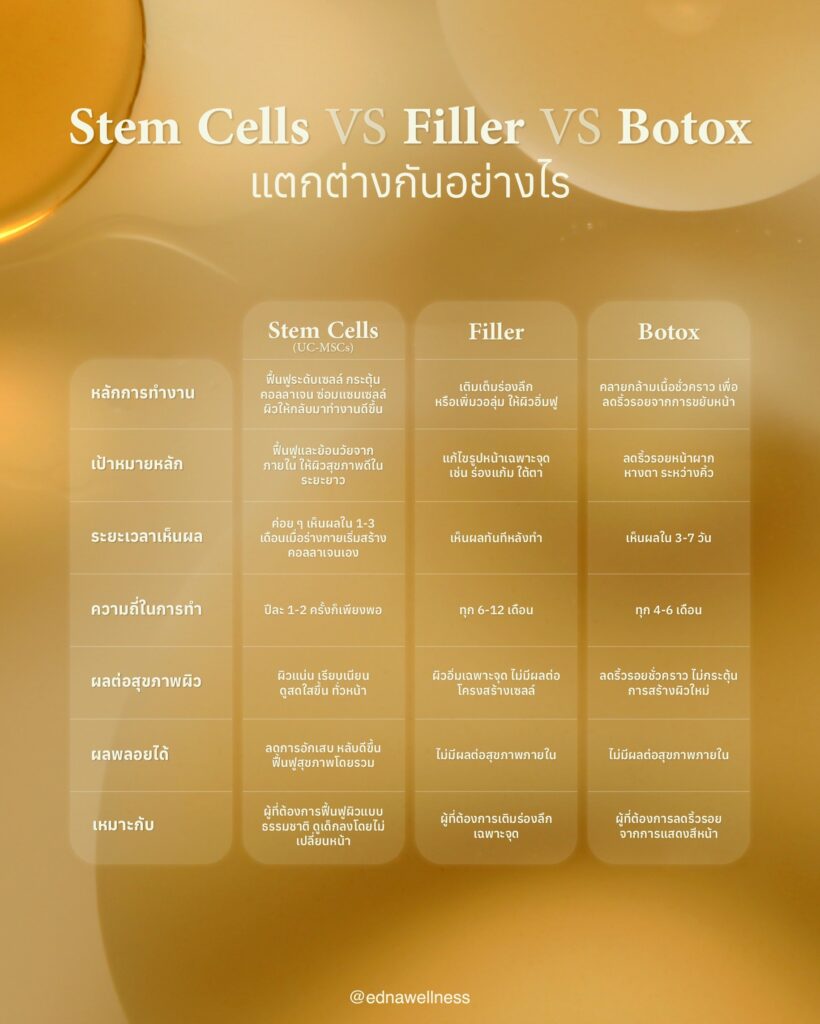 Stem Cell vs Filler vs Botox TH